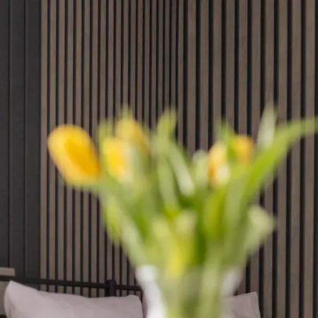 Emilii Plater Chic By Bookinghost * 什切青