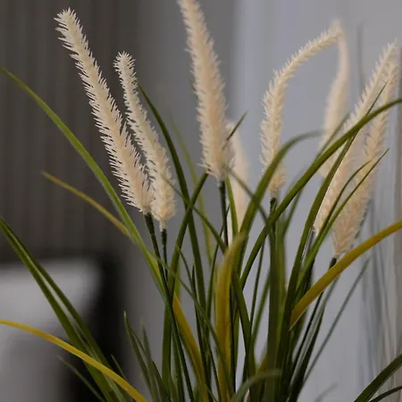 公寓 Emilii Plater Chic By Bookinghost 什切青