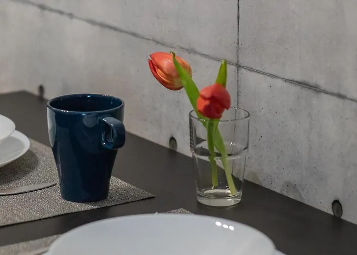 Emilii Plater Chic By Bookinghost Apartment *