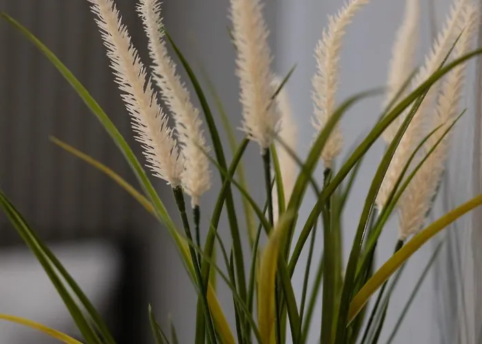 Apartament Emilii Plater Chic By Bookinghost Szczecin